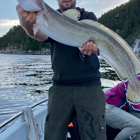 Tatil Evi Serene Waterfront Retreat-by Traum *