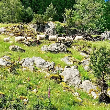 Serene Waterfront Retreat-by Traum Tatil Evi Valevåg